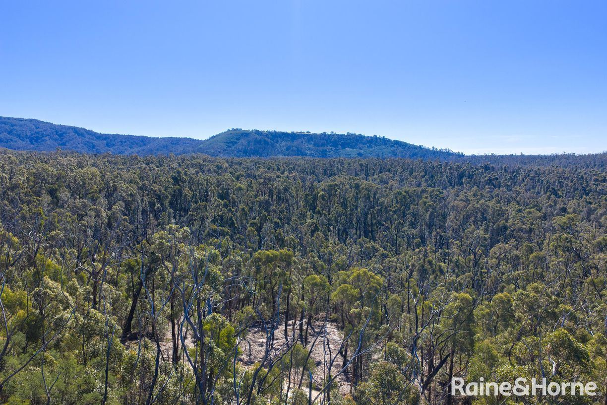 Lot 6 of Lot 33 Little Forest Road — photo 6 of 12