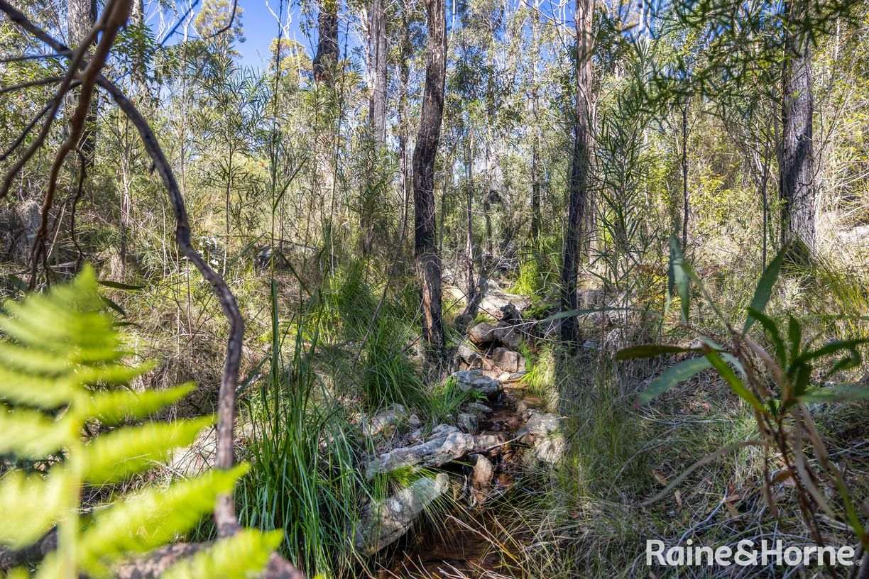Lot 6 of Lot 33 Little Forest Road — photo 8 of 12