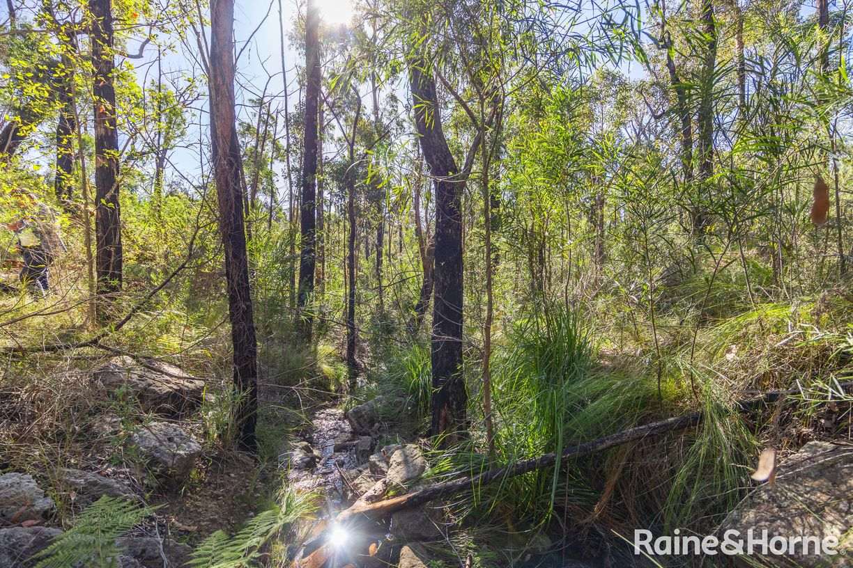 Lot 6 of Lot 33 Little Forest Road — photo 9 of 12