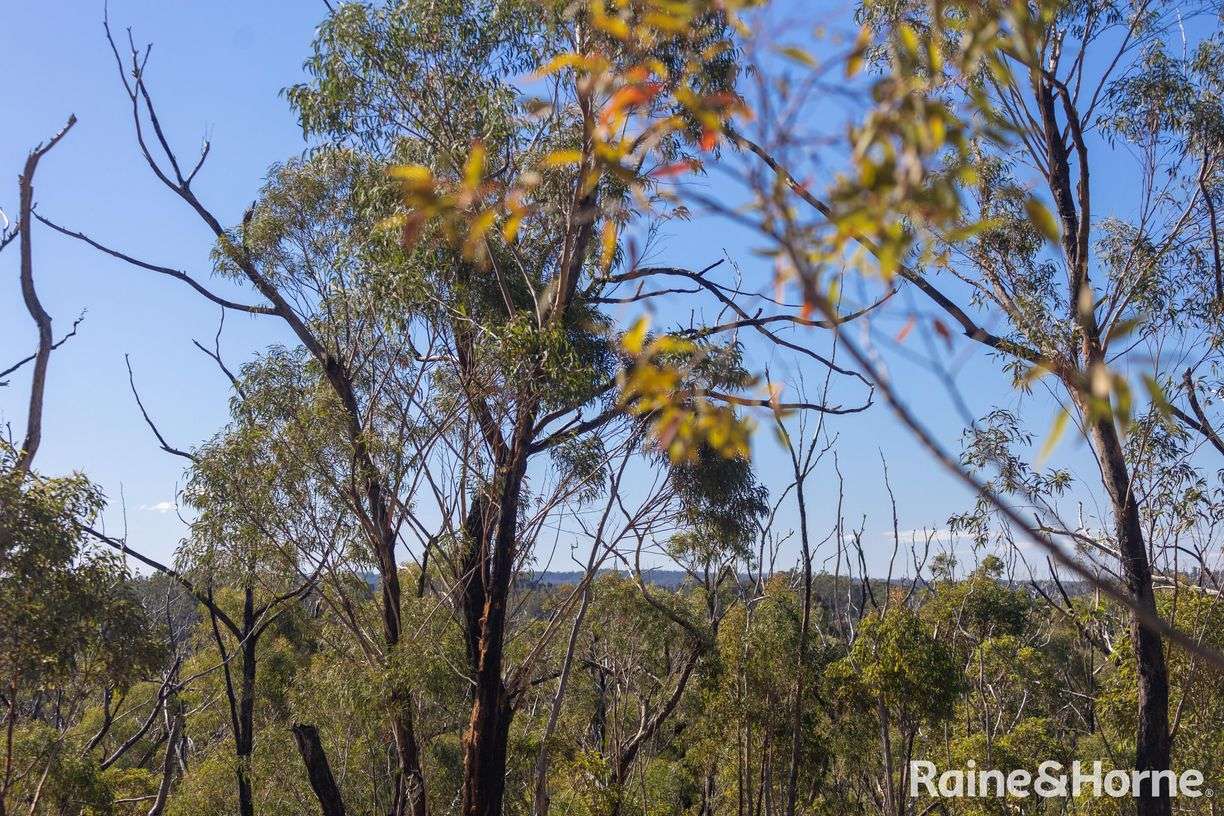 Lot 6 of Lot 33 Little Forest Road — photo 10 of 12