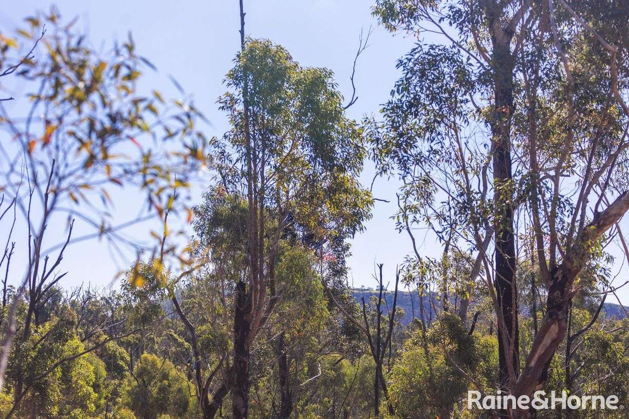 Lot 6 of Lot 33 Little Forest Road — photo 11 of 12