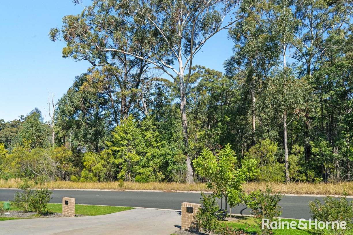 41A or 41B Red Gum Drive — photo 13 of 19