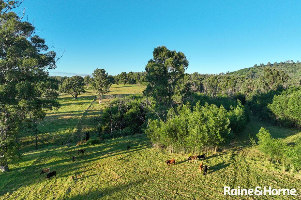 Lot 42 Pointer Road 'Skye Meadows' — photo 11 of 25