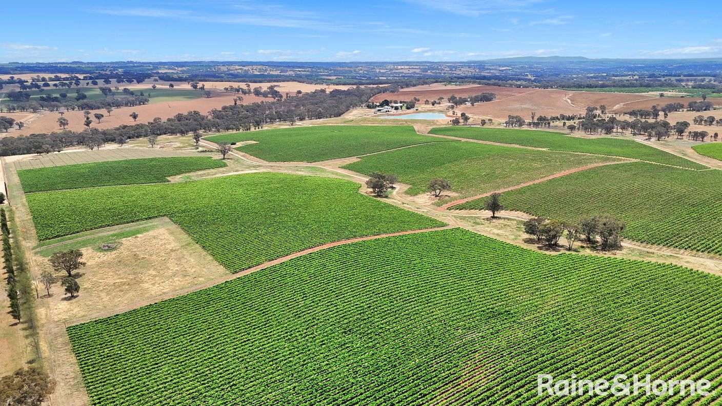 Kingsvale, NSW 2587 — photo from Raine & Horne Young