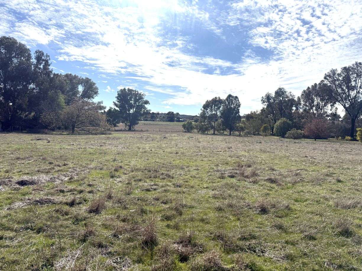 property-image