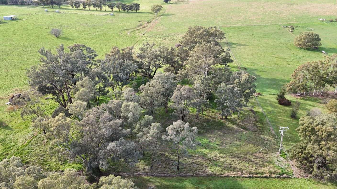 600/Henry Lawson Way — photo 2 of 2