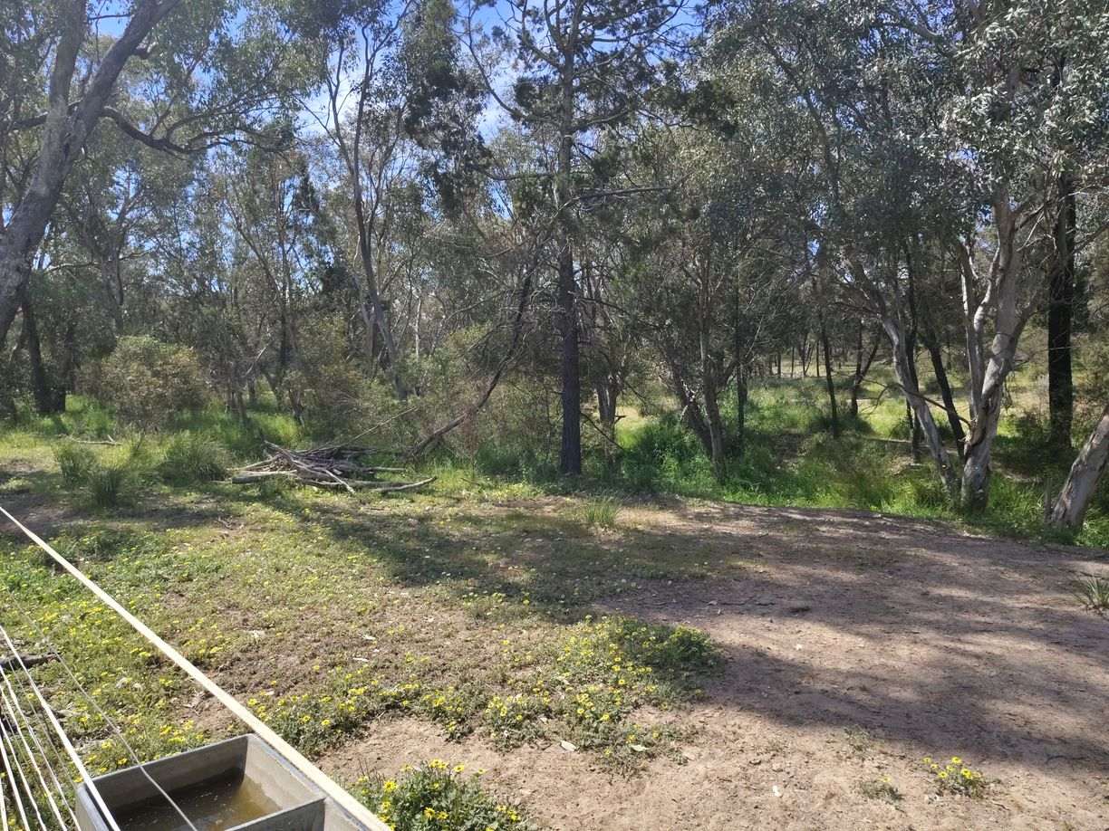 36C Makins Street — photo 13 of 15