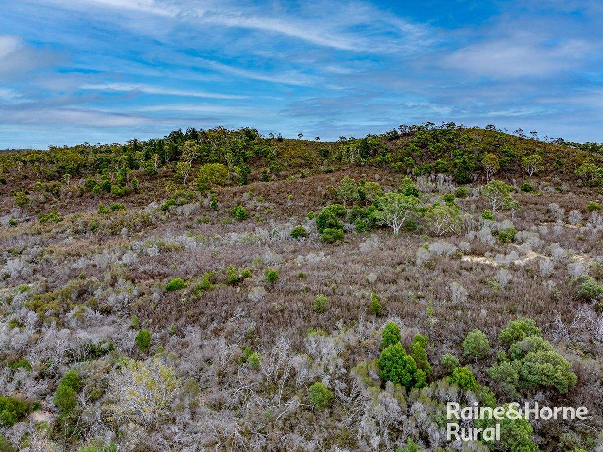 1555 Oallen Ford Road — photo 10 of 21