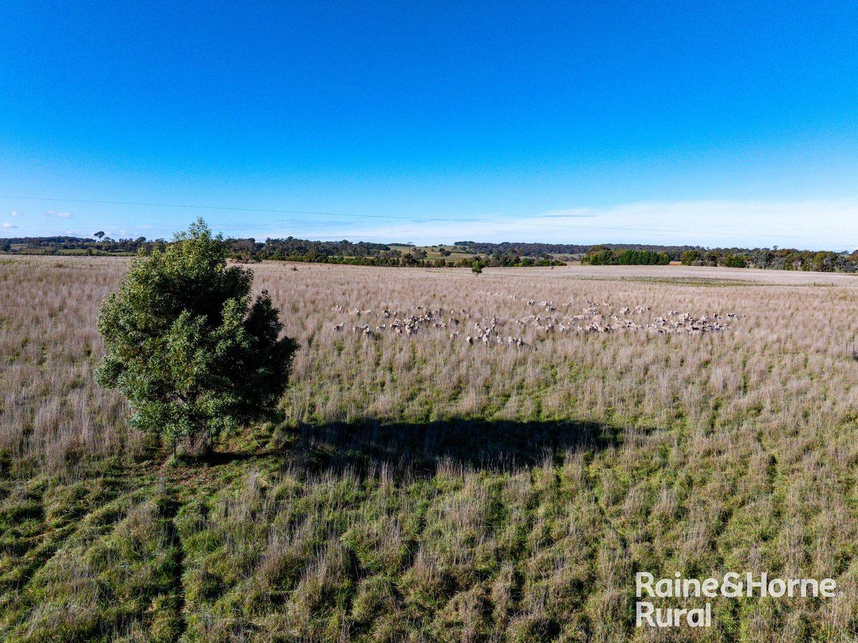 3150 Range Road — photo 2 of 11