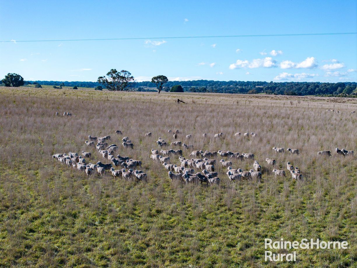 3150 Range Road — photo from Raine & Horne