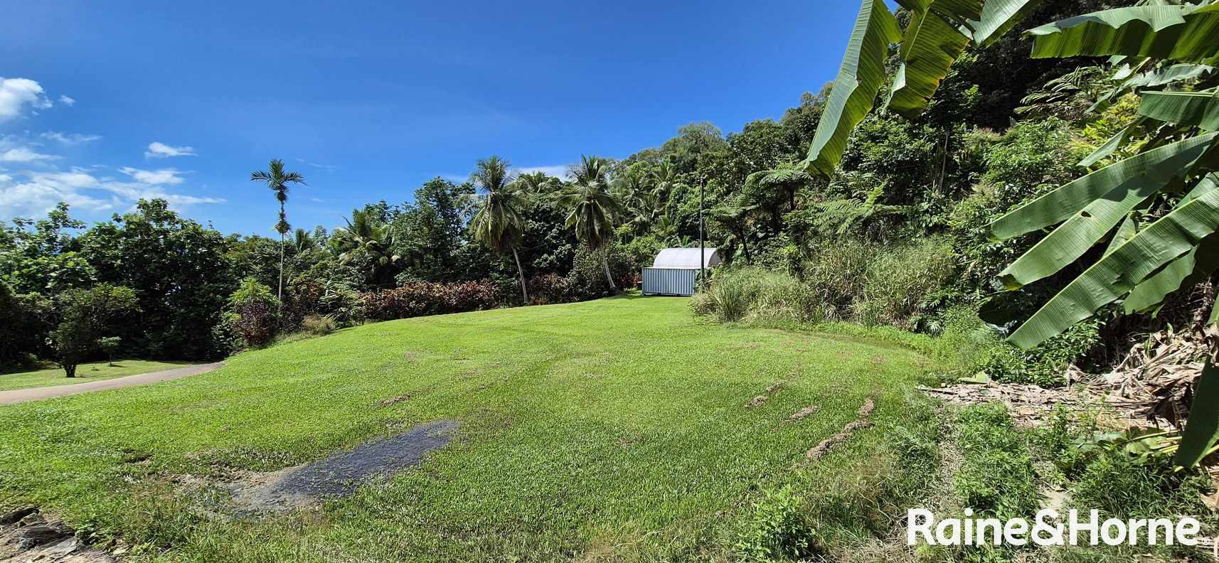 1295 MOSSMAN DAINTREE ROAD — photo 3 of 7