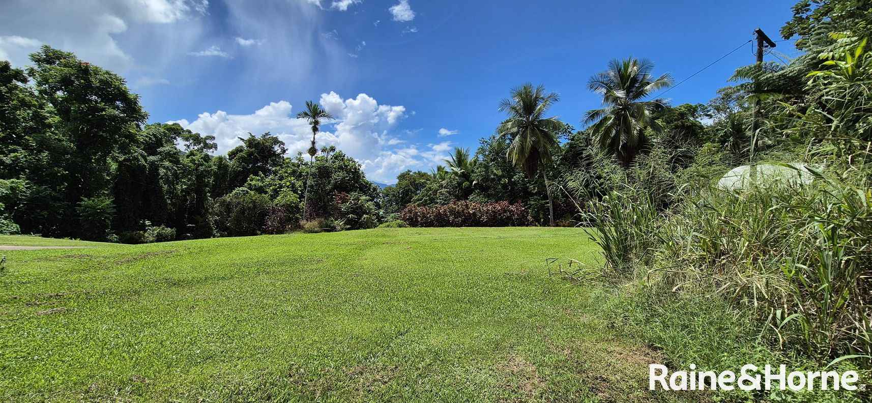 1295 MOSSMAN DAINTREE ROAD — photo 4 of 7
