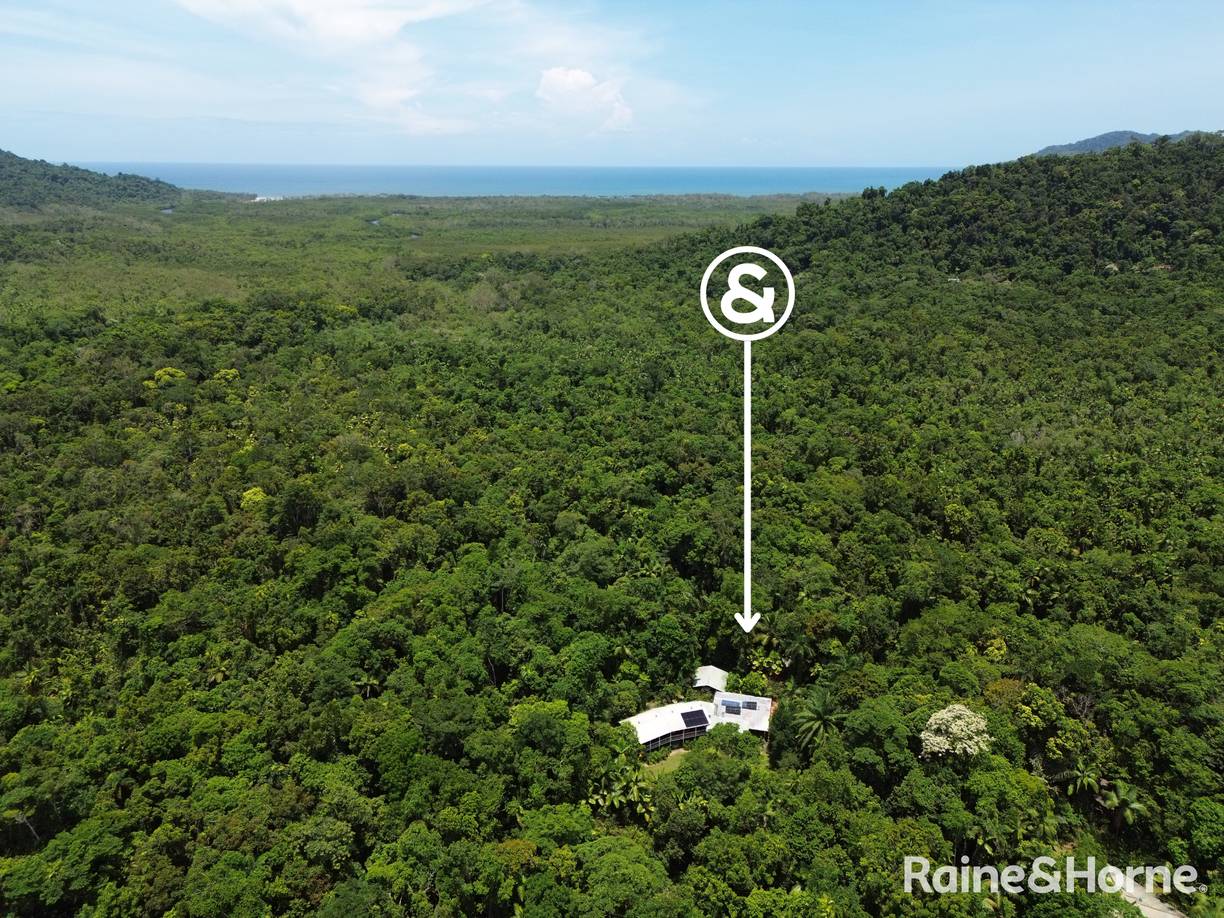 2159 Cape Tribulation Road (DEEP FOREST LODGE)res — photo from Raine & Horne Port Douglas | Mossman