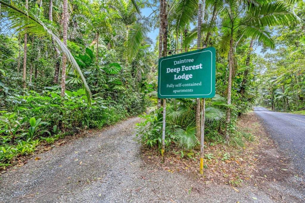 2159 Cape Tribulation Road (DEEP FOREST LODGE)res — photo 2 of 30