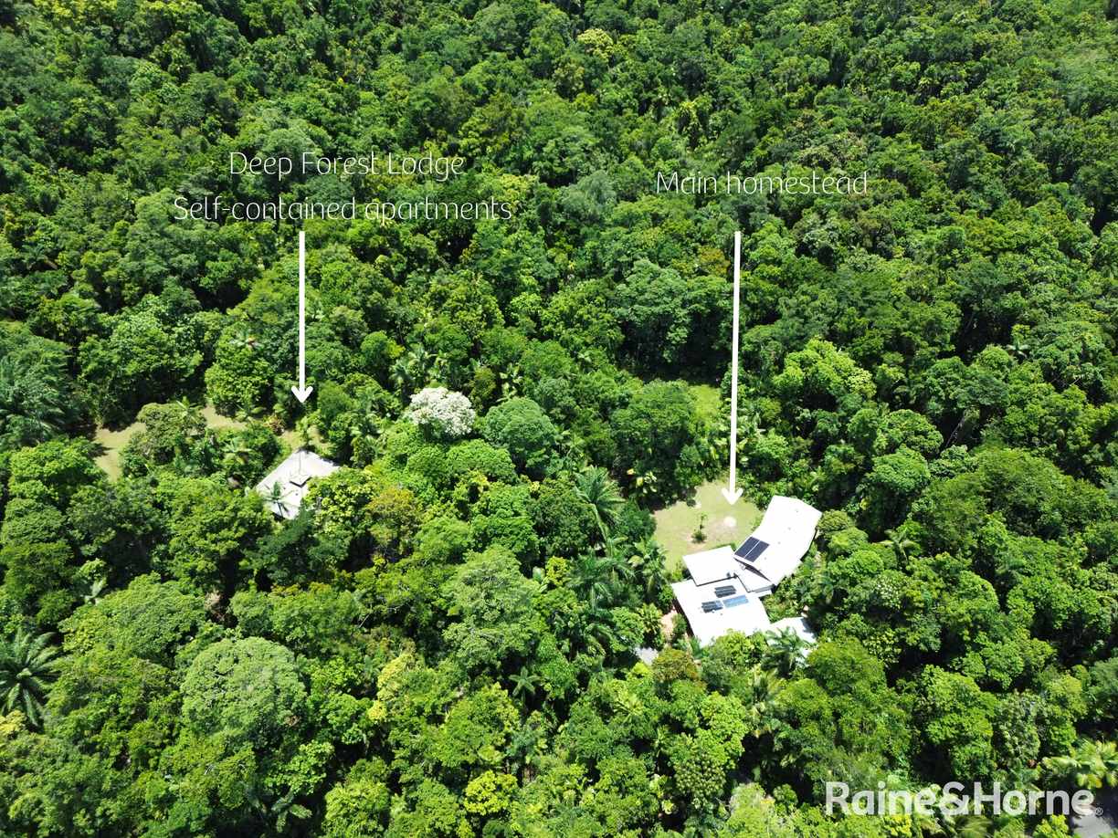 2159 Cape Tribulation Road (DEEP FOREST LODGE)res — photo 4 of 30