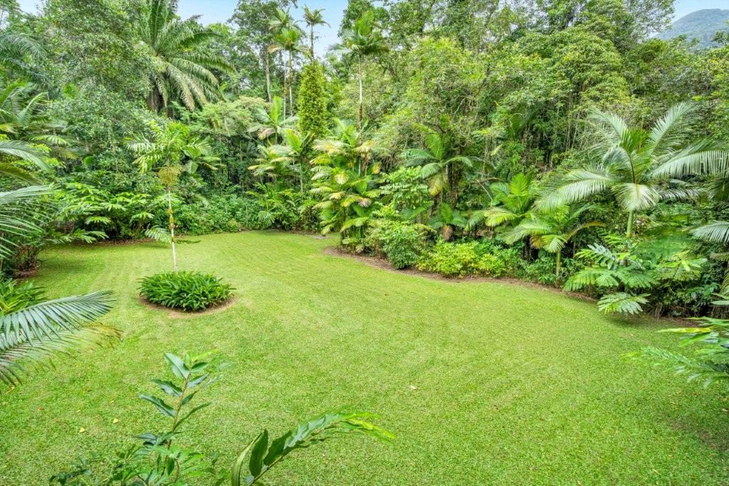 2159 Cape Tribulation Road (DEEP FOREST LODGE)res — photo 7 of 30