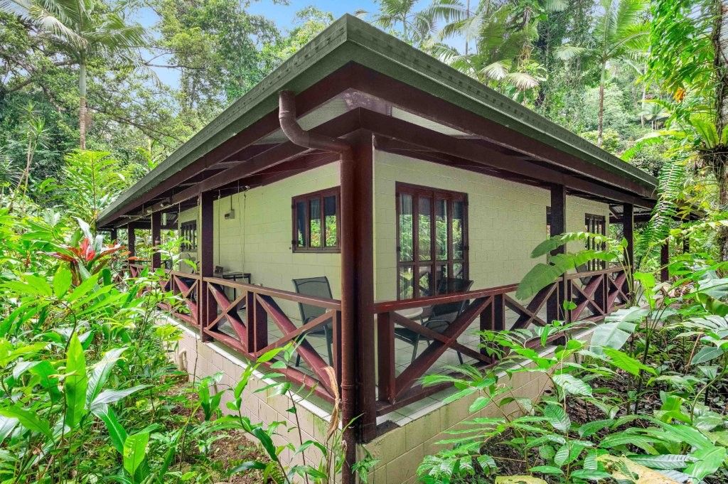 2159 Cape Tribulation Road (DEEP FOREST LODGE)res — photo 9 of 30