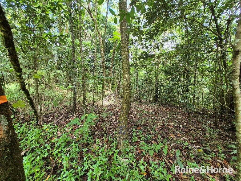 Lot 18 George Road — photo 6 of 20