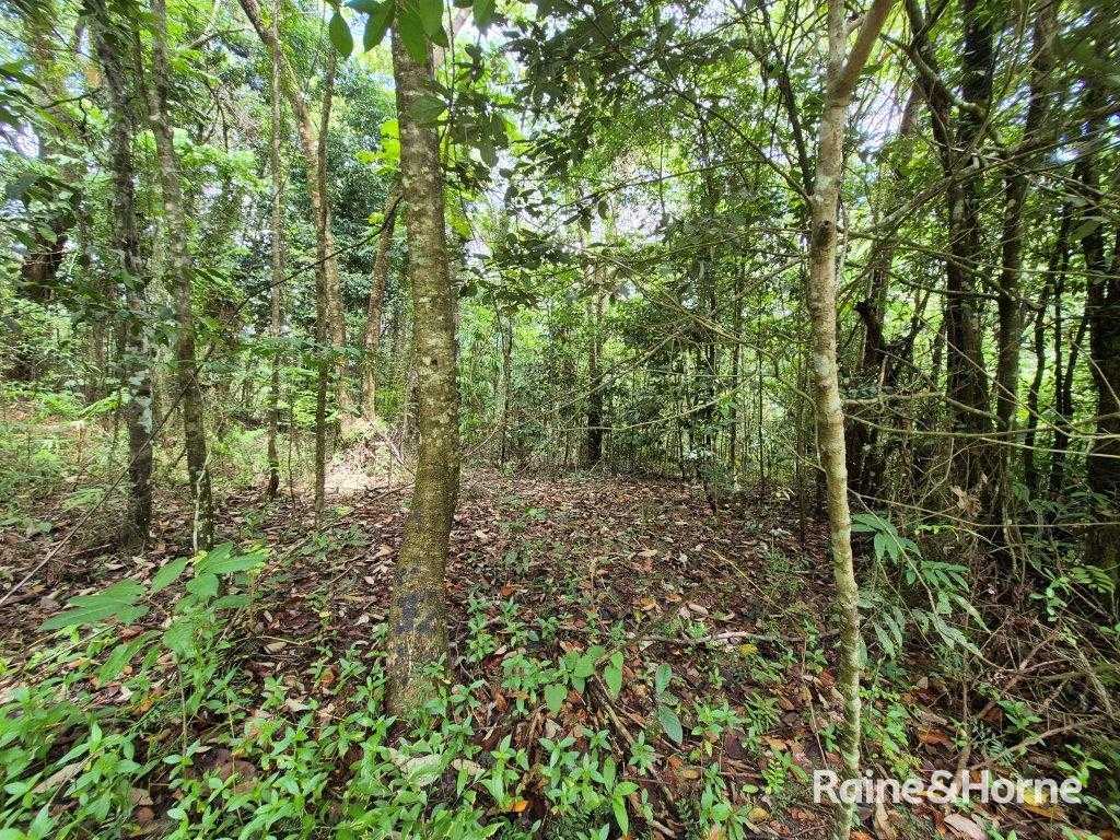 Lot 18 George Road — photo 7 of 20