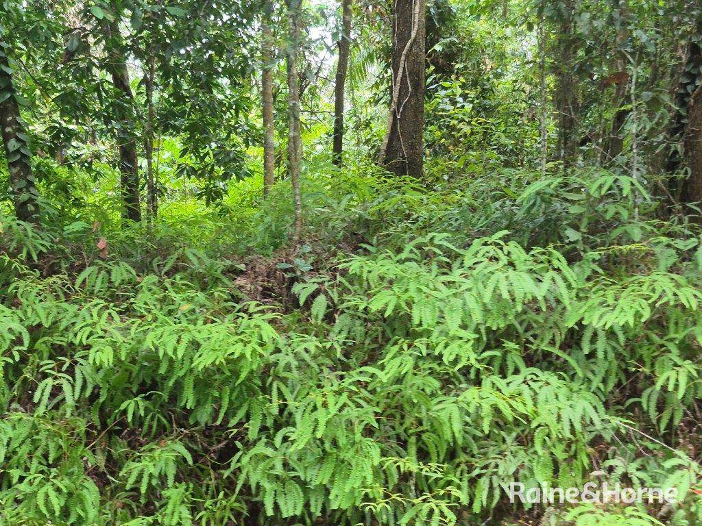 Lot 18 George Road — photo 10 of 20
