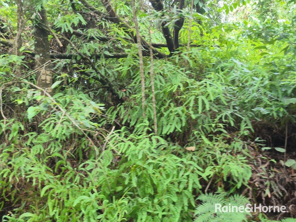 Lot 18 George Road — photo 11 of 20
