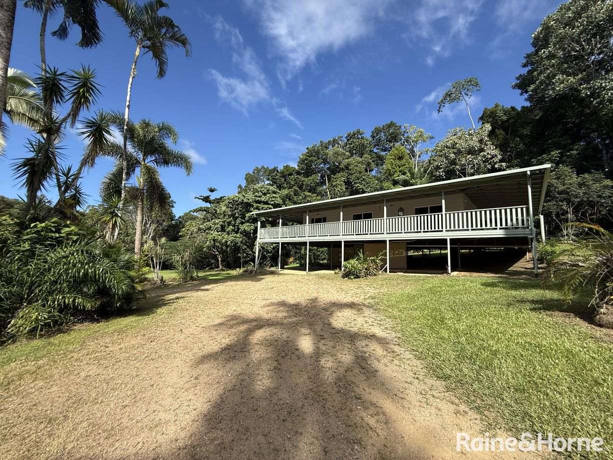 61 Windsor View Road, Julatten QLD 4871