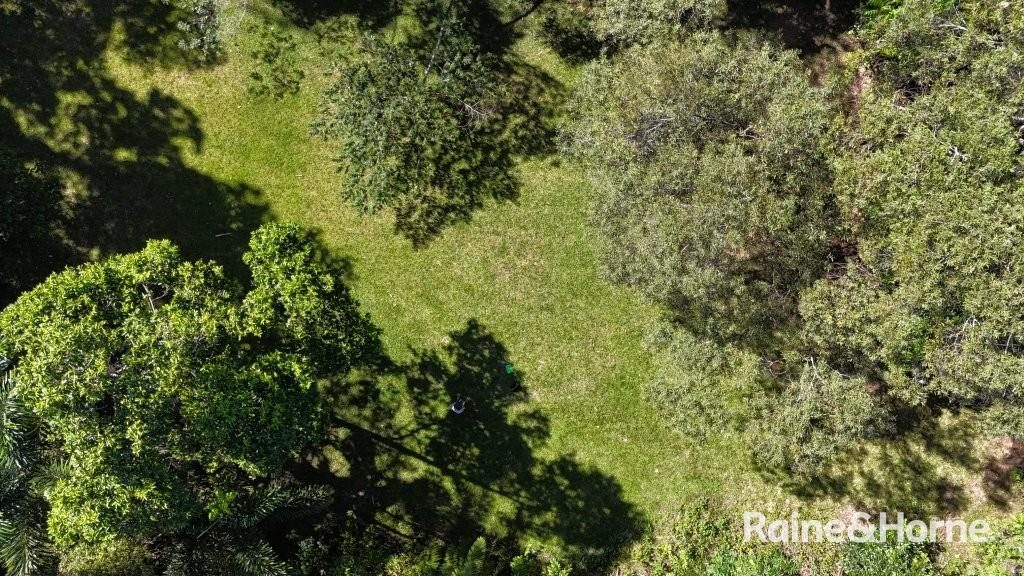 Lot 322 Cape Tribulation Road — photo 22 of 25