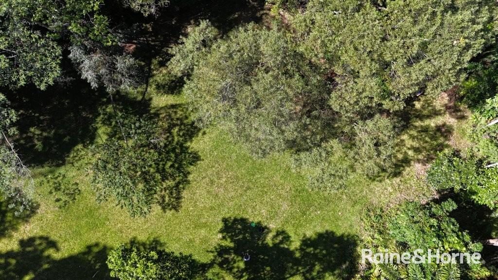 Lot 322 Cape Tribulation Road — photo 18 of 25