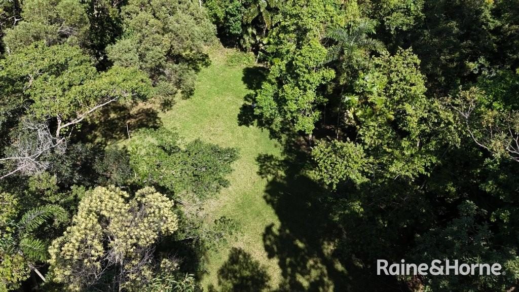 Lot 322 Cape Tribulation Road — photo 19 of 25