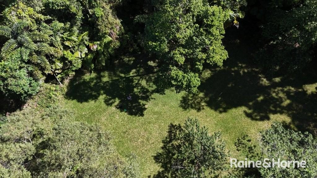 Lot 322 Cape Tribulation Road — photo 20 of 25