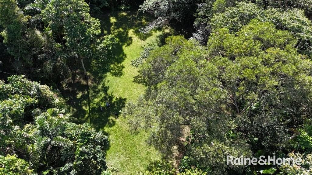 Lot 322 Cape Tribulation Road — photo 21 of 25