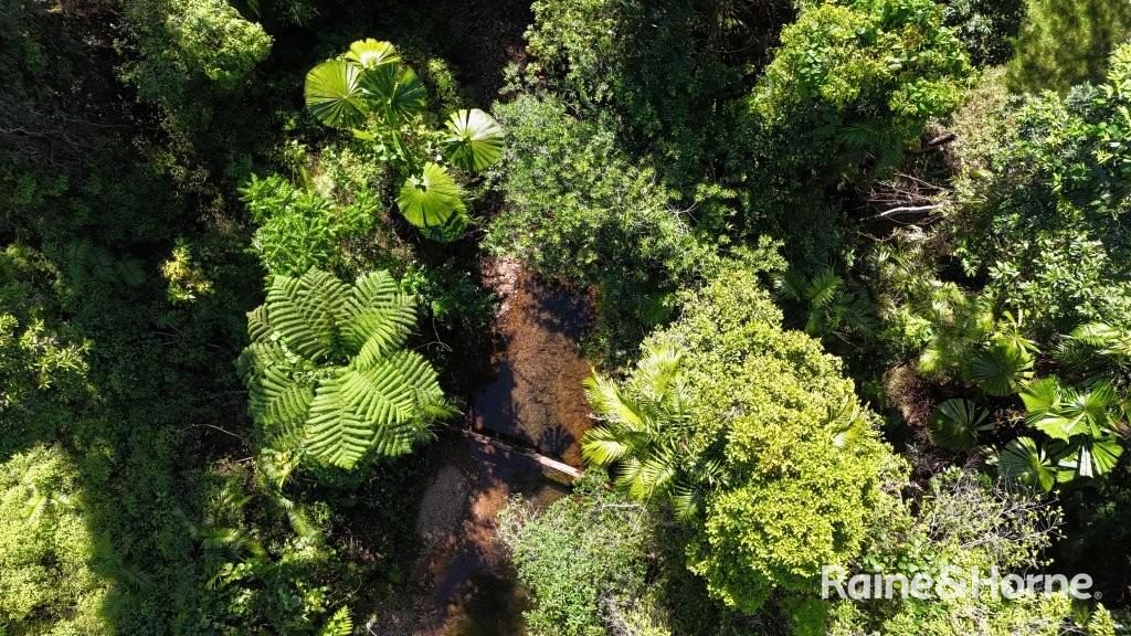 Lot 322 Cape Tribulation Road — photo 17 of 25