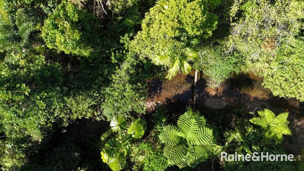 Lot 322 Cape Tribulation Road — photo 15 of 25