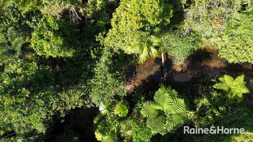 Lot 322 Cape Tribulation Road — photo 2 of 25