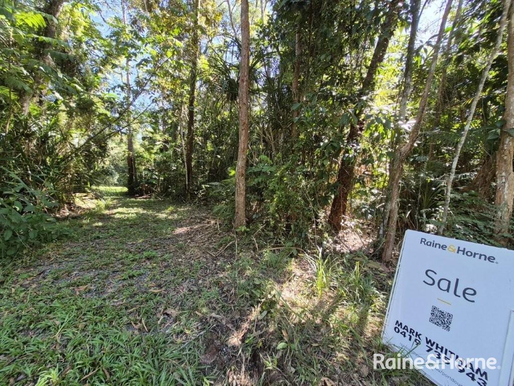 Lot 322 Cape Tribulation Road — photo 4 of 25