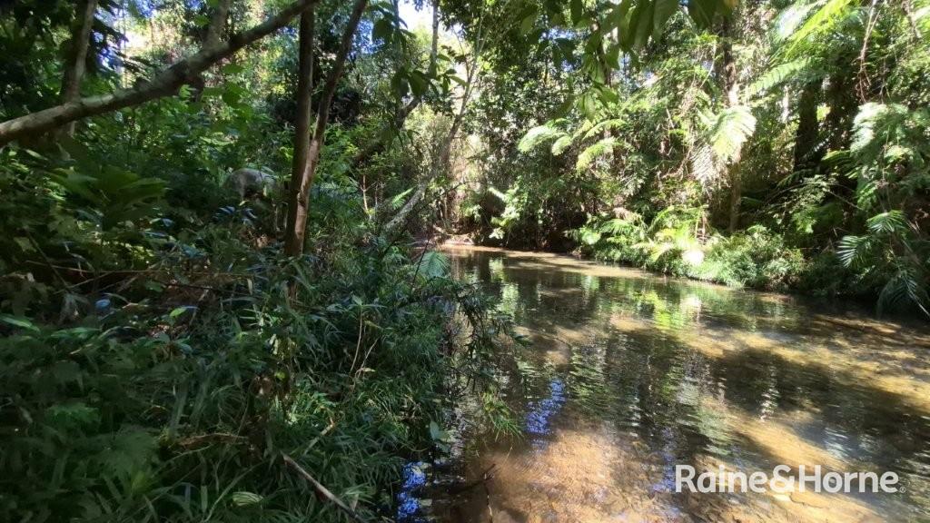 Lot 322 Cape Tribulation Road — photo 14 of 25