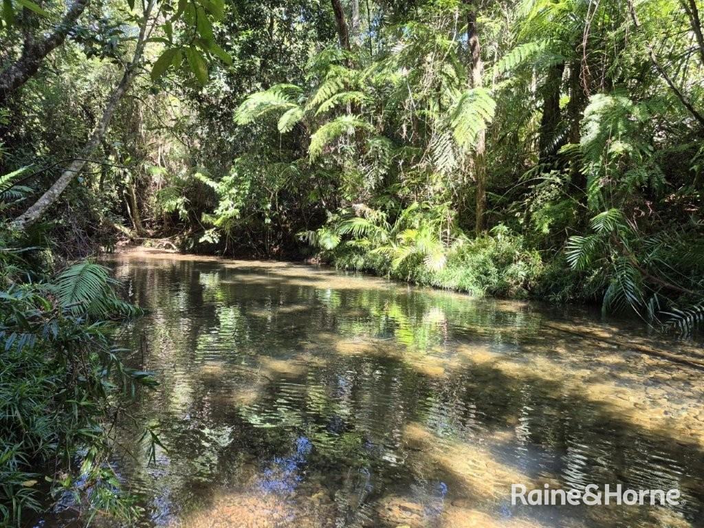 Lot 322 Cape Tribulation Road — photo 16 of 25