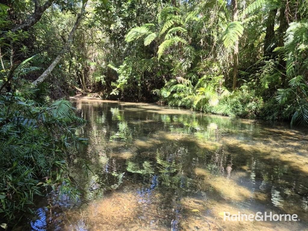 Lot 322 Cape Tribulation Road — photo 13 of 25