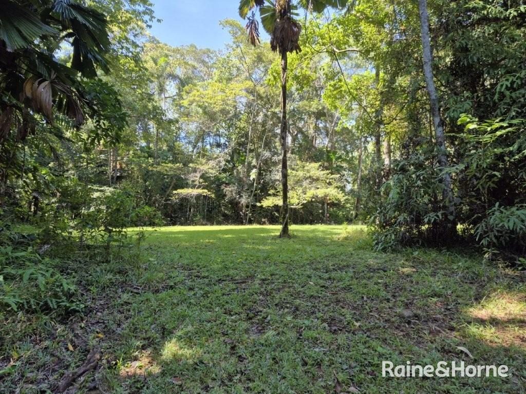 Lot 322 Cape Tribulation Road — photo 8 of 25