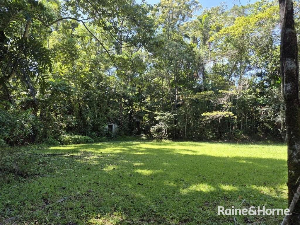 Lot 322 Cape Tribulation Road — photo 11 of 25