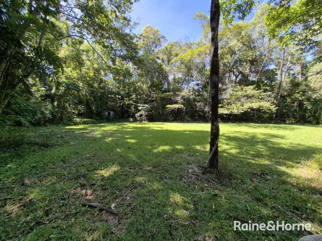 Lot 322 Cape Tribulation Road — photo 9 of 25