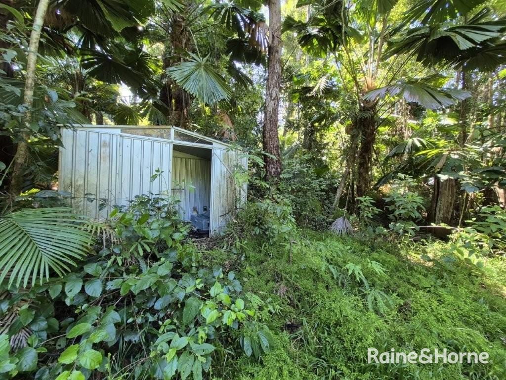Lot 322 Cape Tribulation Road — photo 12 of 25