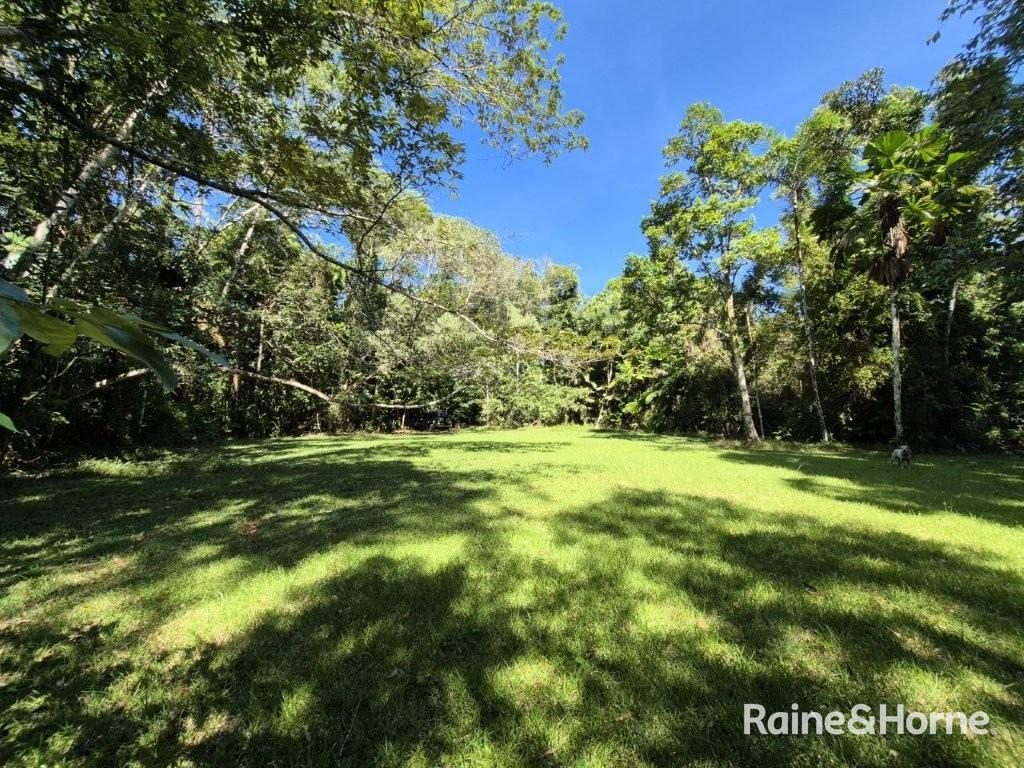 Lot 322 Cape Tribulation Road — photo 7 of 25