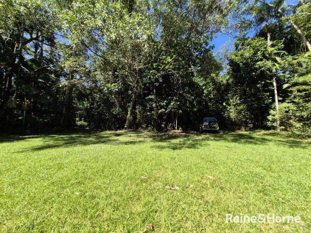 Lot 322 Cape Tribulation Road — photo 5 of 25