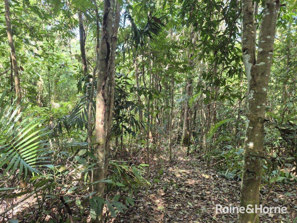 Lot 49 Tea Tree Road — photo 8 of 30