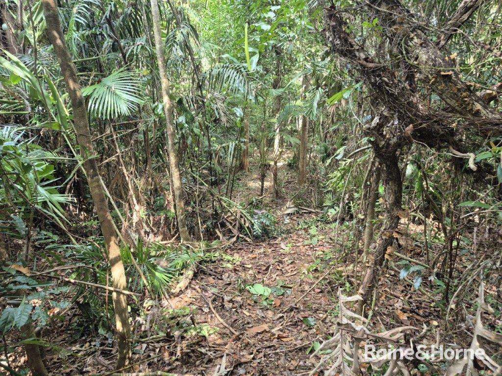 Lot 49 Tea Tree Road — photo 15 of 30