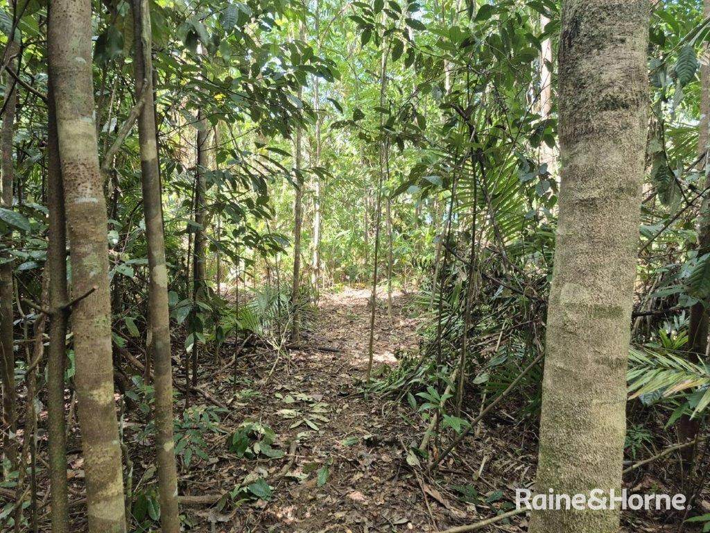 Lot 49 Tea Tree Road — photo 17 of 30