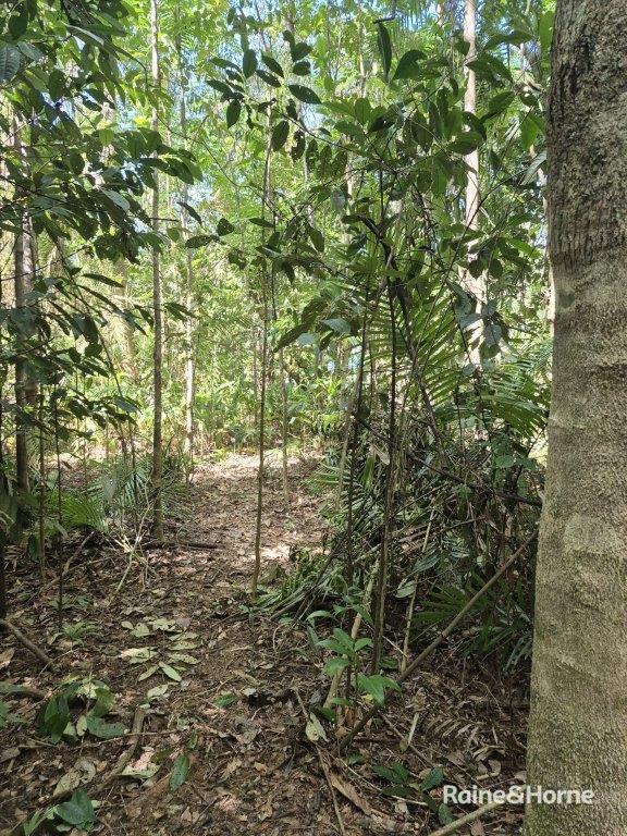 Lot 49 Tea Tree Road — photo 14 of 30