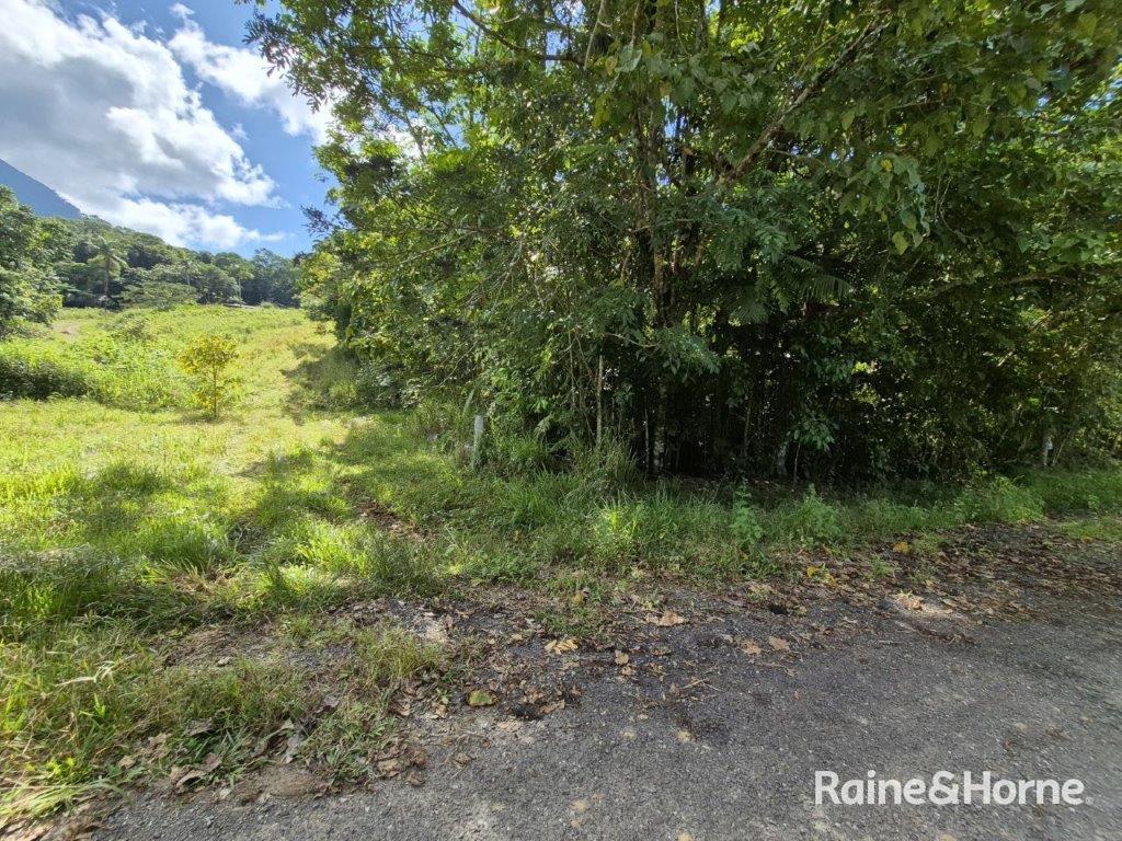 Lot 49 Tea Tree Road — photo 9 of 30