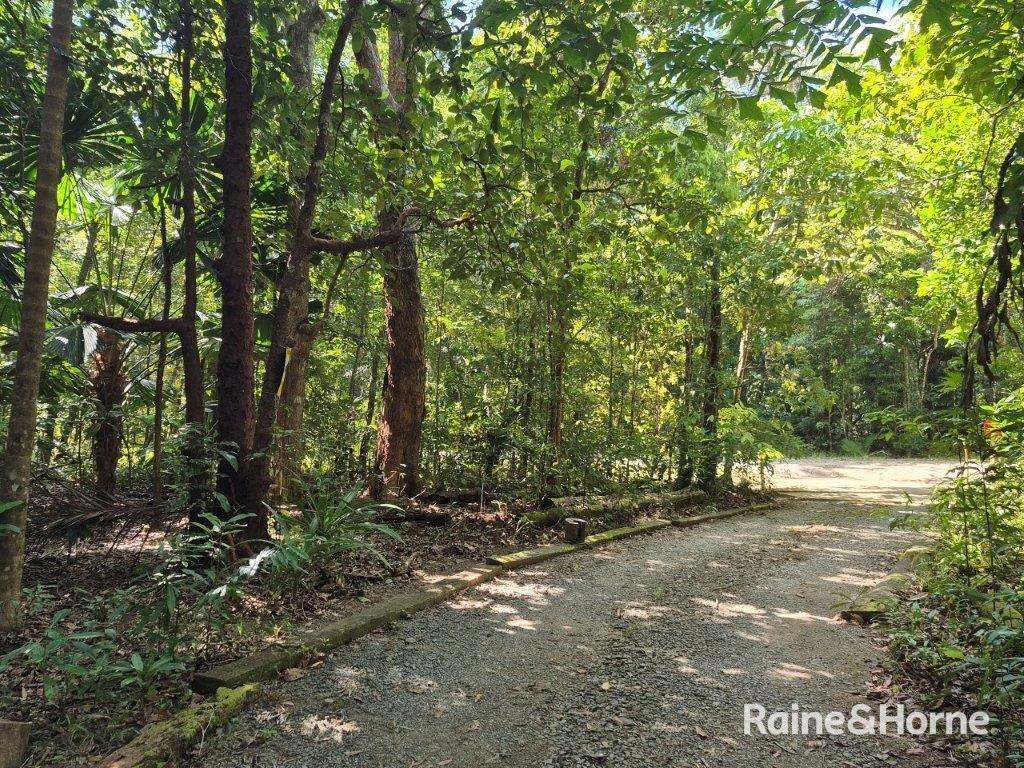 15 Silky Oak Road COW BAY — photo 26 of 30
